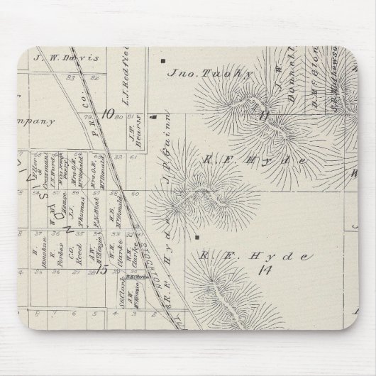 パイオニア·ランド·コ部門 マウスパッド (正面)