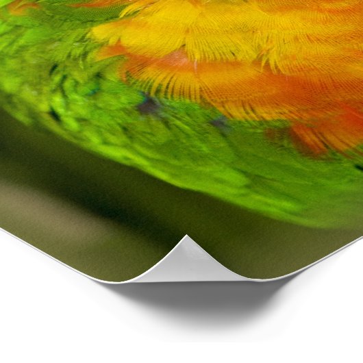 パイカラフルク ポスター (角)