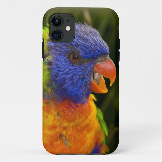 パイカラフルク Case-Mate iPhoneケース (裏面)