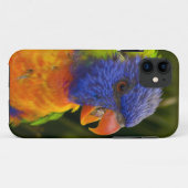 パイカラフルク Case-Mate iPhoneケース (裏面(横))