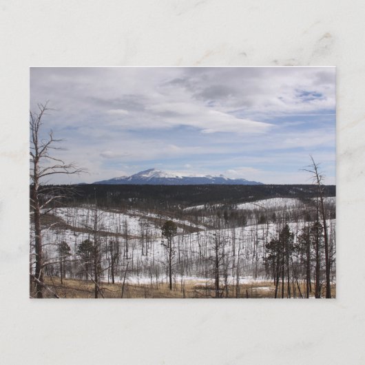 パイクのピーク葉書 ポストカード (正面)