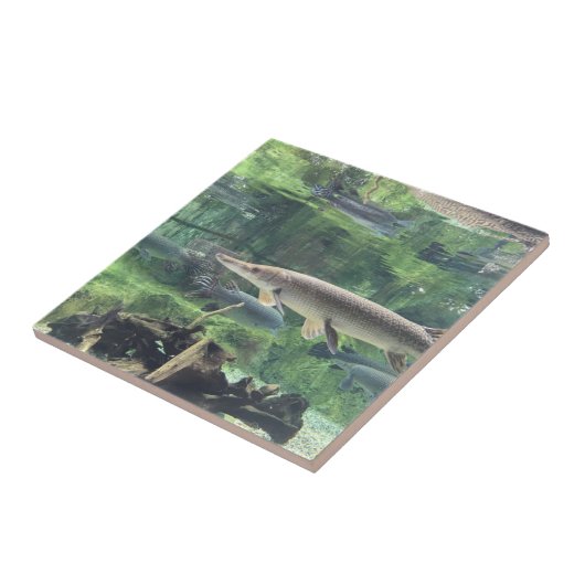 パイクの魚 タイル (側面)