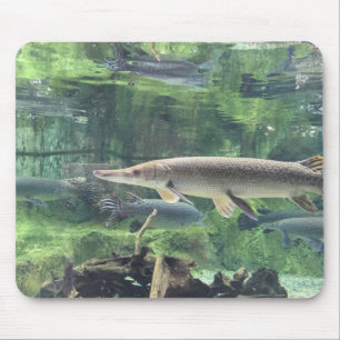 パイクの魚 マウスパッド