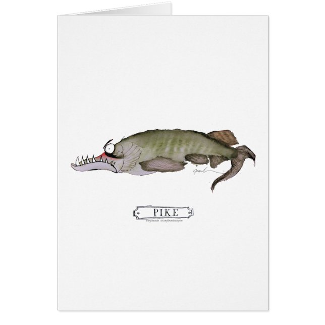 パイクの魚、贅沢なfernandes (正面)