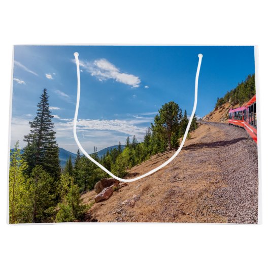 パイクスピークトレイライドラージ抱き枕 ラージペーパーバッグ (正面)