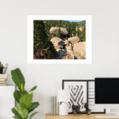 パイクス山のダイヤモンド形の岩 ポスター (ホームオフィス)