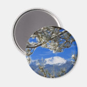 パイクピーク冬の雪フラクタルアートをカバー マグネット (正面/裏面)