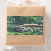 パイクフィッシュ ラベル (インサイチュ)