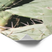 パイクリー梨サボテン ポスター (角)