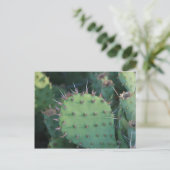 パイクリー洋ナシ ポストカード (スタンド正面)