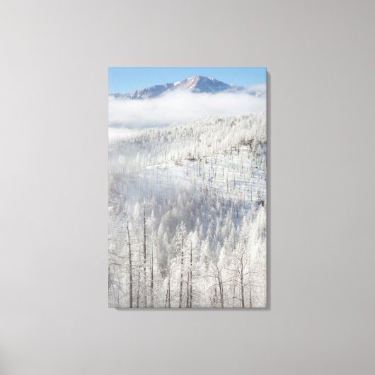パイク国有林の冬 キャンバスプリント (正面)