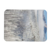 パイク国有林の冬 マグネット (横)