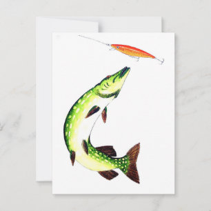 パイク魚釣りとフライフィッシング ポストカード