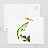 パイク魚釣りはがき ポストカード (正面/裏面)