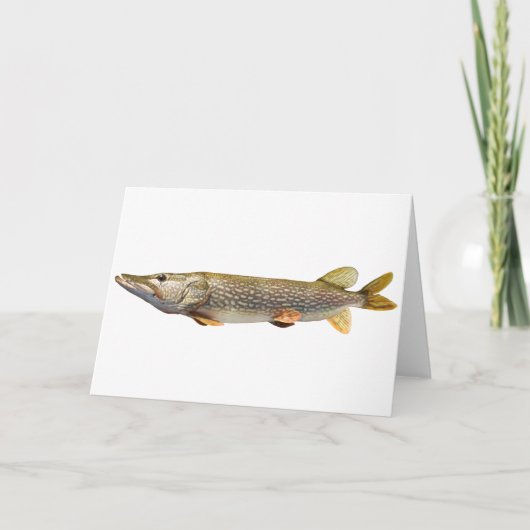 パイクMuskiの魚釣り カード (正面)