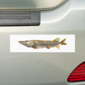 パイクMuskiの魚釣り バンパーステッカー (車上)