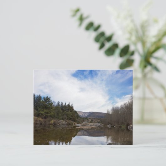 パイサエ ポストカード (スタンド正面)