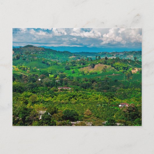 パイサジェデルカフェ ポストカード (正面)