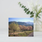 パイサヘ・カンペストレ・コン・アルボレス・アリカンテ・エスパニャ ポストカード (スタンド正面)