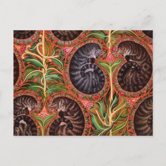 パイズフォーマルル ポストカード (正面)