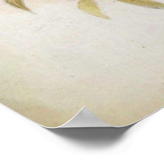 パイソン！ ポスター (角)