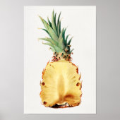 パイナップルの半分のフルーツ水の色絵画で切る ポスター (正面)
