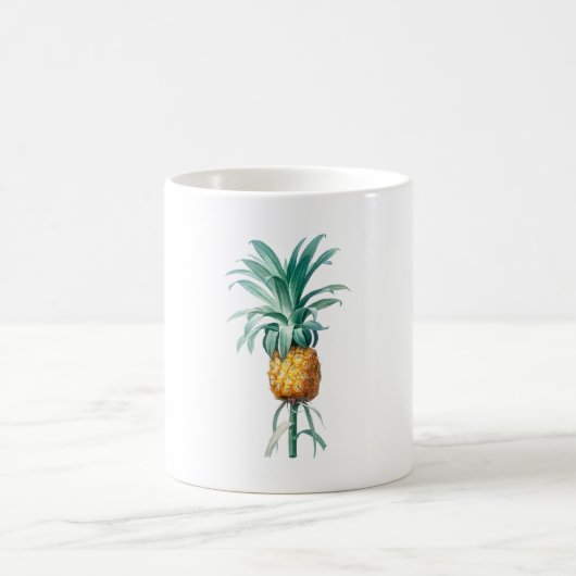 パイナップルの枝 コーヒーマグカップ (中央)