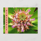 パイナップルの植物の植物画風フォトグラフ ポストカード (正面)