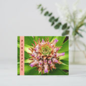 パイナップルの植物の植物画風フォトグラフ ポストカード (スタンド正面)