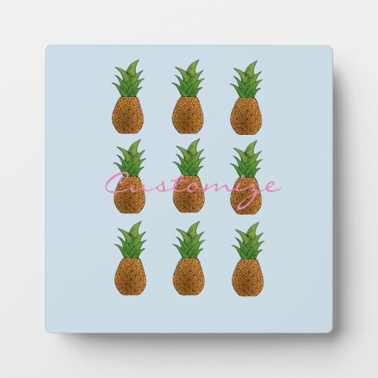 パイナップルサンダー_コーブ フォトプラーク (正面)