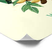 パイナップルスイートアットザホワイトロータス ポスター (角)