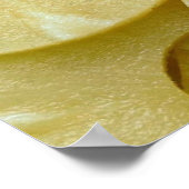 パイナップルスライス ポスター (角)