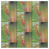 パイナップルセージ開花 ファブリック (見本)