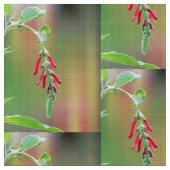 パイナップルセージ開花 ファブリック (クローズアップ)