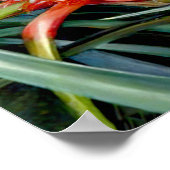 パイナップルバイマリアンヌノース – エキゾチックな風景 ポスター (角)