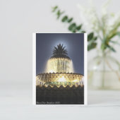 パイナップルファウンテンチャールストンSC ポストカード (スタンド正面)