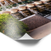 パイナップルファウンテンinチャールストン， SC フォトプリント (角)