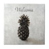 パイナップル伝統的ウェルカムグレー タイル (正面)