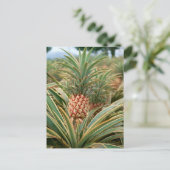 パイナップル分野 ポストカード (スタンド正面)