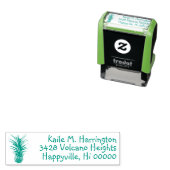 パイナップル差出人住所再利用ゴムスタンプ セルフインキングスタンプ (インサイチュ)