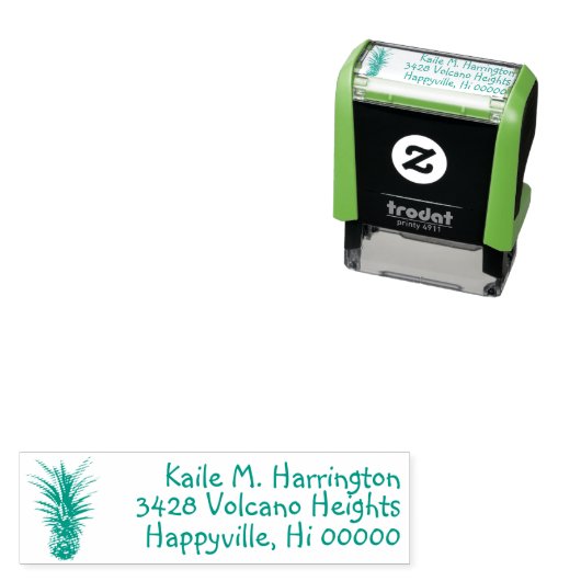 パイナップル差出人住所再利用ゴムスタンプ セルフインキングスタンプ (インサイチュ)