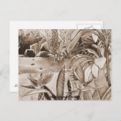 パイナップル農園の池 ポストカード (正面/裏面)