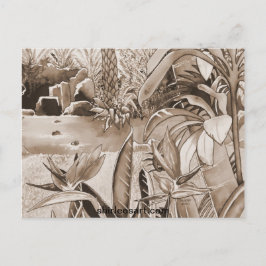 パイナップル農園の池 ポストカード