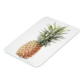 パイナップル1997 マグネット (左側)