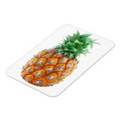 パイナップル マグネット (左側)