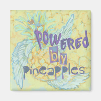 パイナップル、磁石で動く マグネット