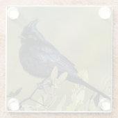 パイノプラガラスのコースター ガラスコースター (裏面)