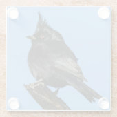 パイノプラガラスのコースター ガラスコースター (裏面)