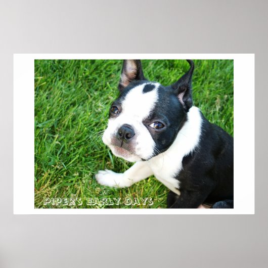 パイパーズ初期日 ポスター (正面)