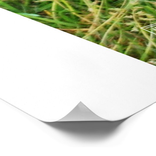 パイパーズ初期日 ポスター (角)